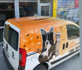 Ankara’nın Çankaya, Keçiören, Mamak, Yenimahalle, Etimesgut ve Sincan ilçelerinde araç kaplama, folyo kaplama ve sticker uygulamaları ile araçlarınızı öne çıkarıyoruz. Güvenilir ve kaliteli hizmet garantisi. Ankara araç giydirme, araç kaplama Ankara, folyo kaplama Ankara, araç sticker kaplama Ankara, kurumsal araç giydirme Ankara, kişiye özel araç kaplama Ankara, renk değişimi folyo Ankara, full araç kaplama Ankara, Ankara araç kaplama fiyatları, araç reklam giydirme Ankara, profesyonel araç kaplama Ankara, kaliteli araç kaplama Ankara, güvenilir araç giydirme Ankara, Çankaya araç kaplama, Keçiören araç kaplama, Mamak araç kaplama, Yenimahalle araç kaplama, Etimesgut araç kaplama, Sincan araç kaplama, Batıkent araç kaplama, Eryaman araç kaplama, Emek araç kaplama, Ankara araç kaplama firmaları, Ankara araç giydirme firmaları, Ankara araç kaplama hizmetleri